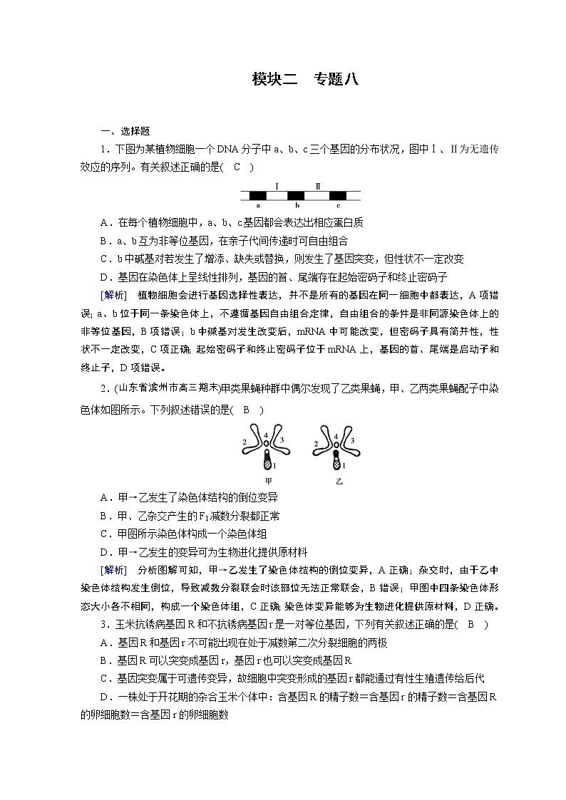 高考生物二轮复习精品练习：专题08《变异、育种与进化》（含详解）01