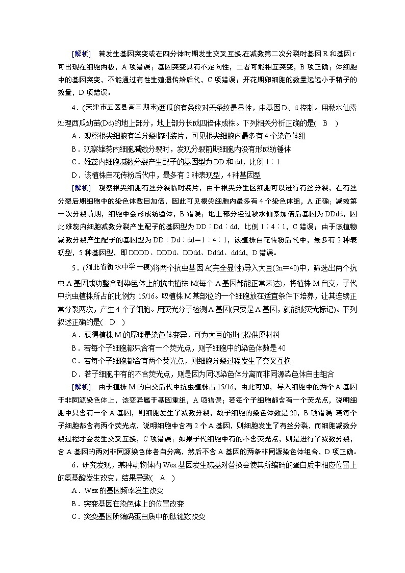高考生物二轮复习精品练习：专题08《变异、育种与进化》（含详解）02