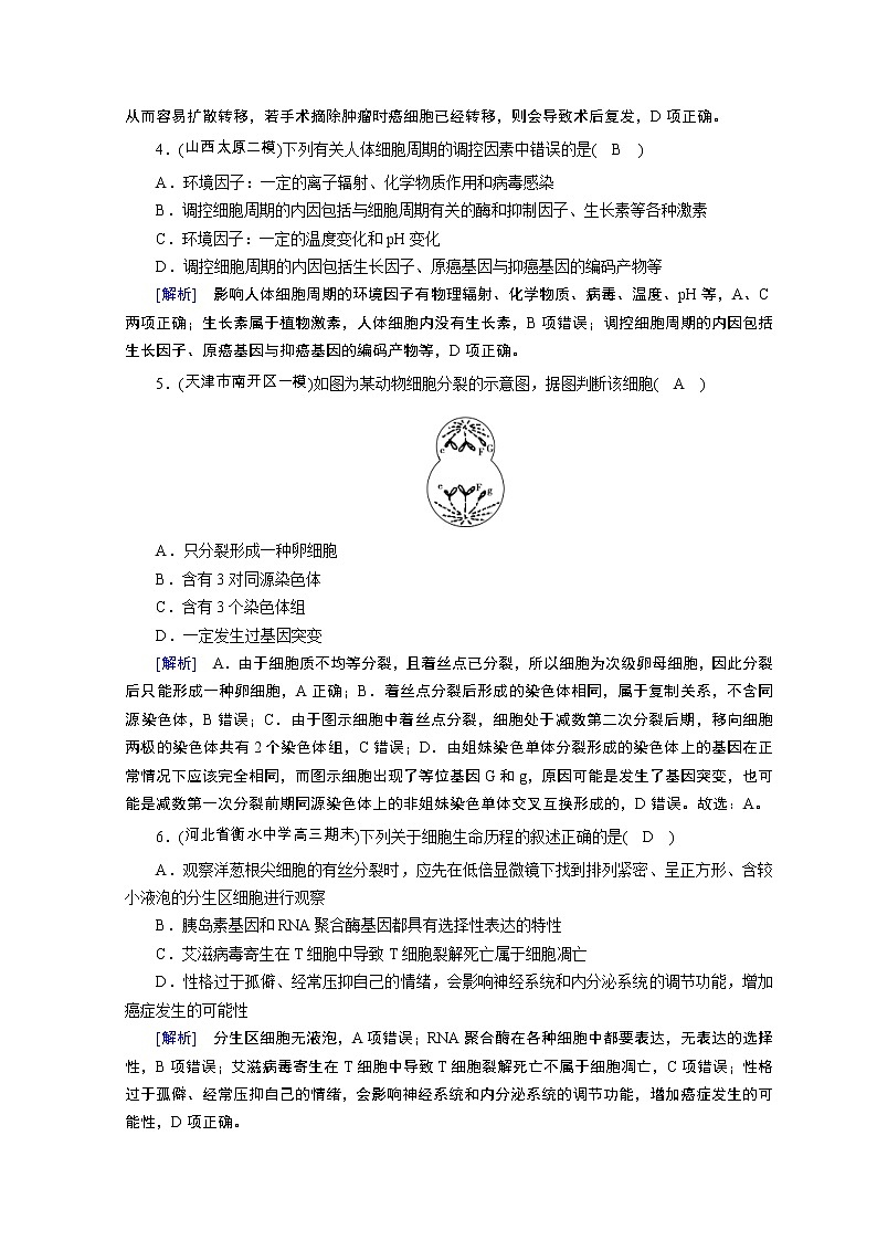 高考生物二轮复习精品练习：专题05《细胞的生命历程》（含详解）02