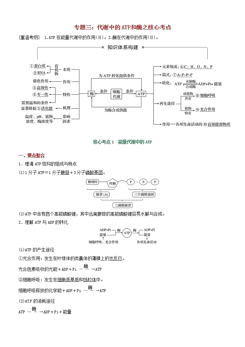 高考生物二轮复习核心考点冲刺专题03《代谢中的ATP和酶》（含详解）第1页