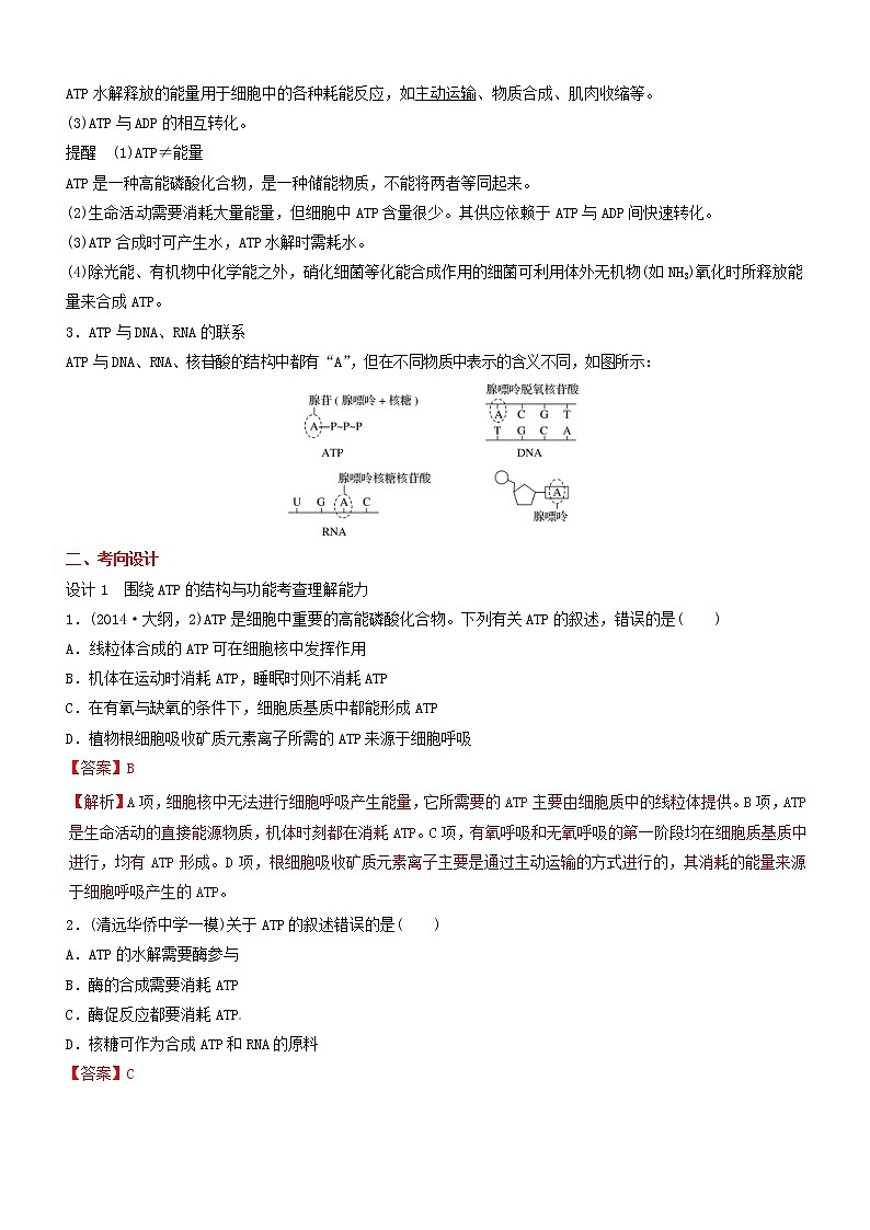 高考生物二轮复习核心考点冲刺专题03《代谢中的ATP和酶》（含详解）第2页