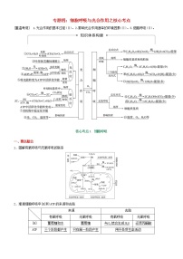 高考生物二轮复习核心考点冲刺专题04《细胞呼吸与光合作用》（含详解）