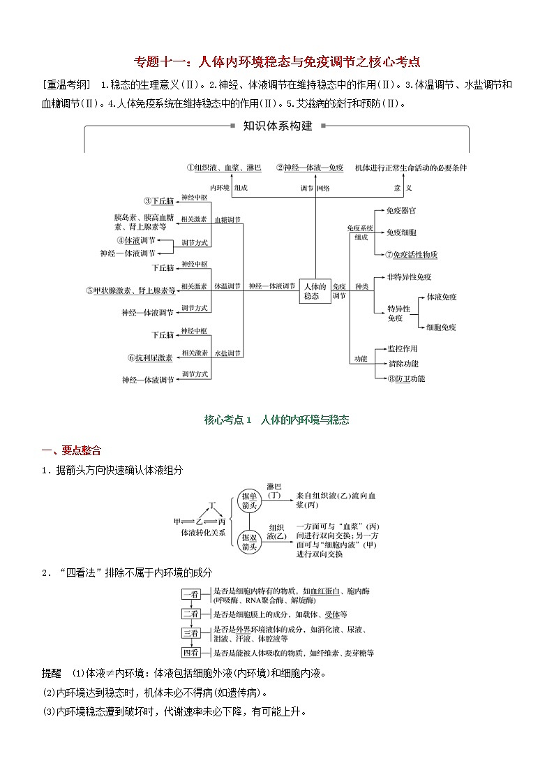 高考生物二轮复习核心考点冲刺专题11《人体内环境稳态与免疫调节》（含详解）01