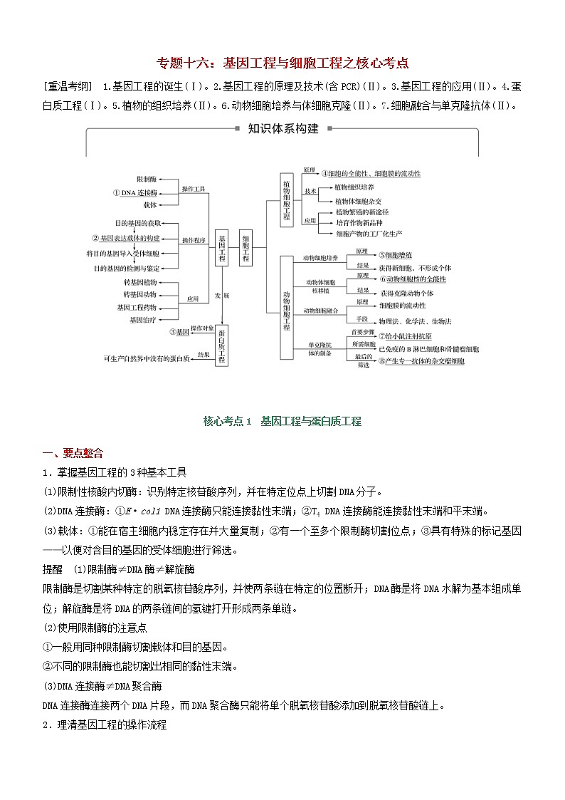 高考生物二轮复习核心考点冲刺专题16《基因工程与细胞工程》（含详解）第1页