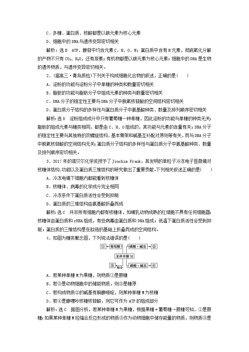 高考生物二轮复习基础保分专题01《细胞的组成与结构》学案（含详解）02