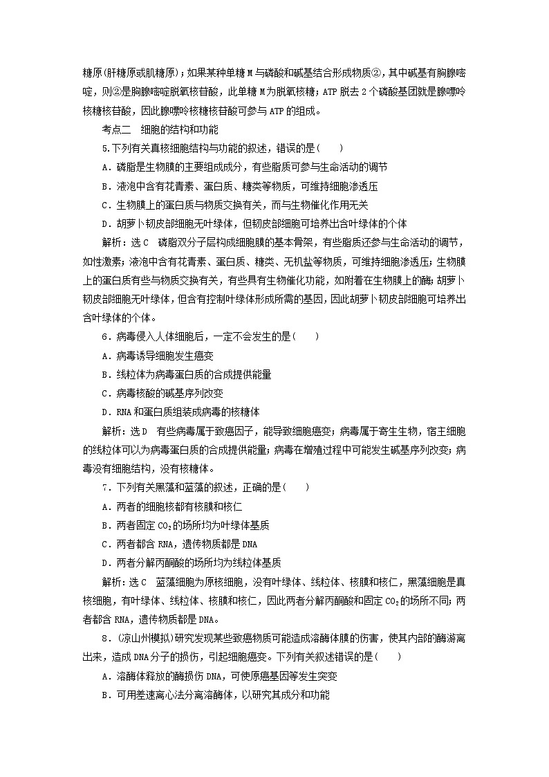 高考生物二轮复习基础保分专题01《细胞的组成与结构》学案（含详解）03