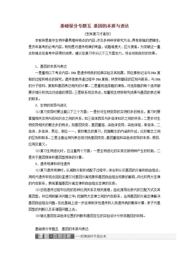 高考生物二轮复习基础保分专题05《基因的本质与表达》学案（含详解）01