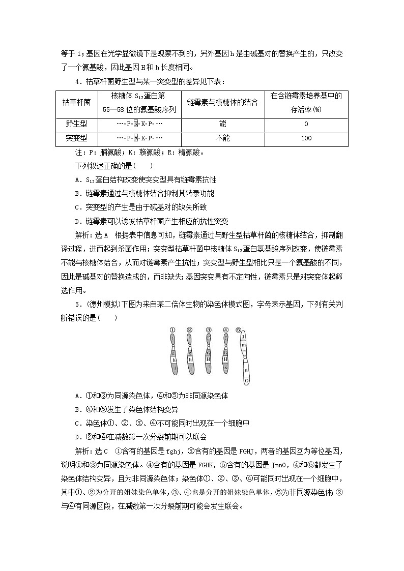 高考生物二轮复习基础保分专题06《变异与进化》学案（含详解）02