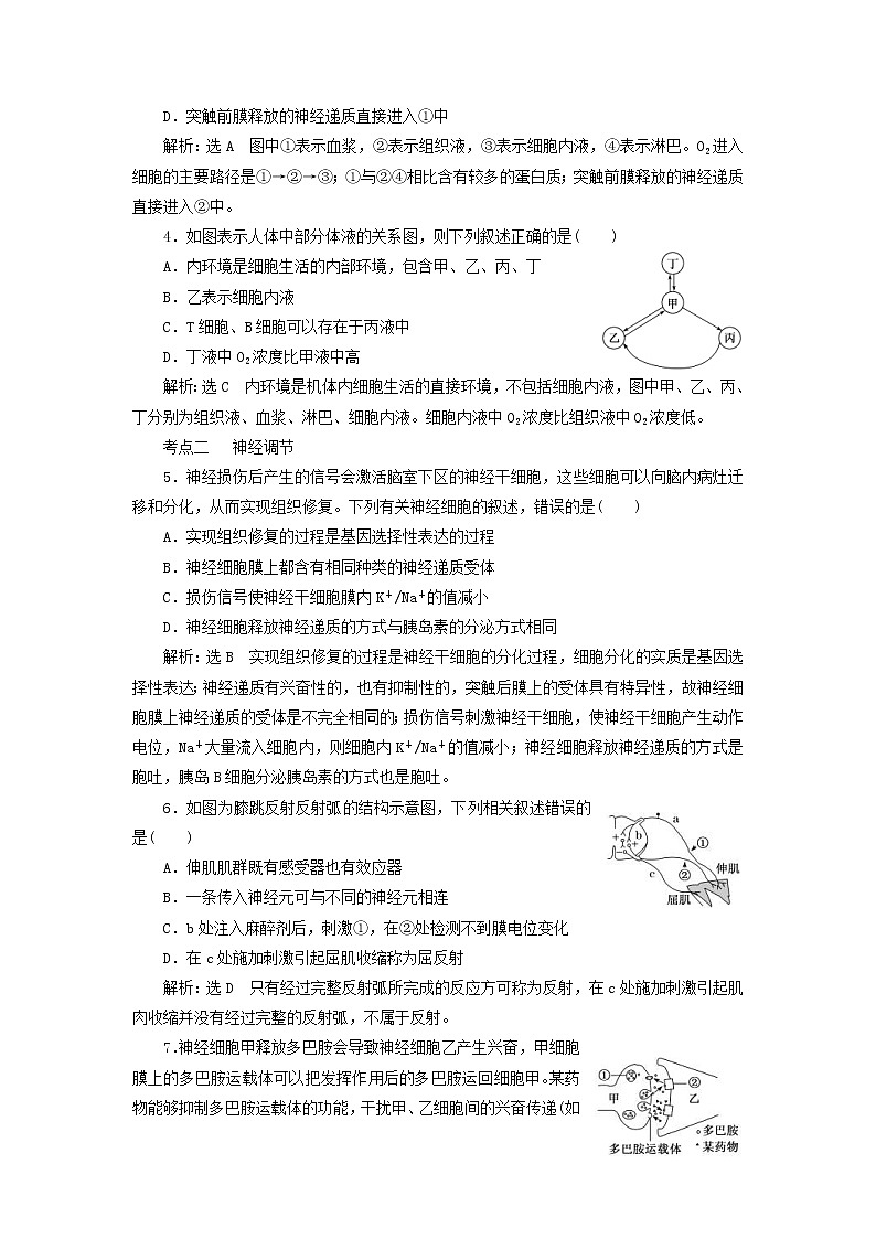 高考生物二轮复习基础保分专题09《动物生命活动的调节》学案（含详解）第2页