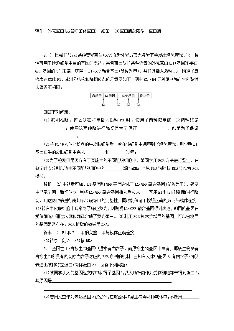 高考生物二轮复习基础保分专题12《基因工程与克隆技术》学案（含详解）02