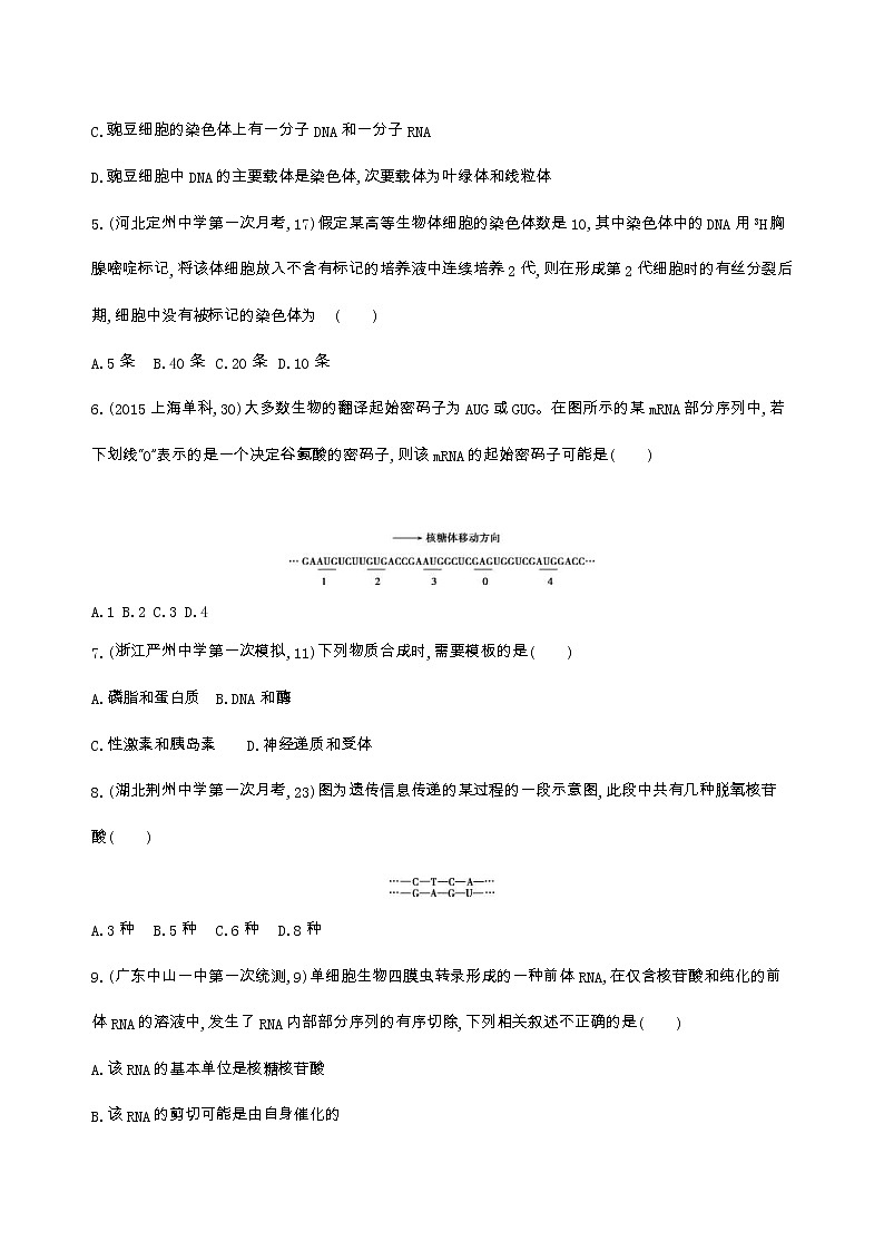 高考生物三轮复习精练9　注重过程、强化联系,应对遗传分子基础问题（含答案）02