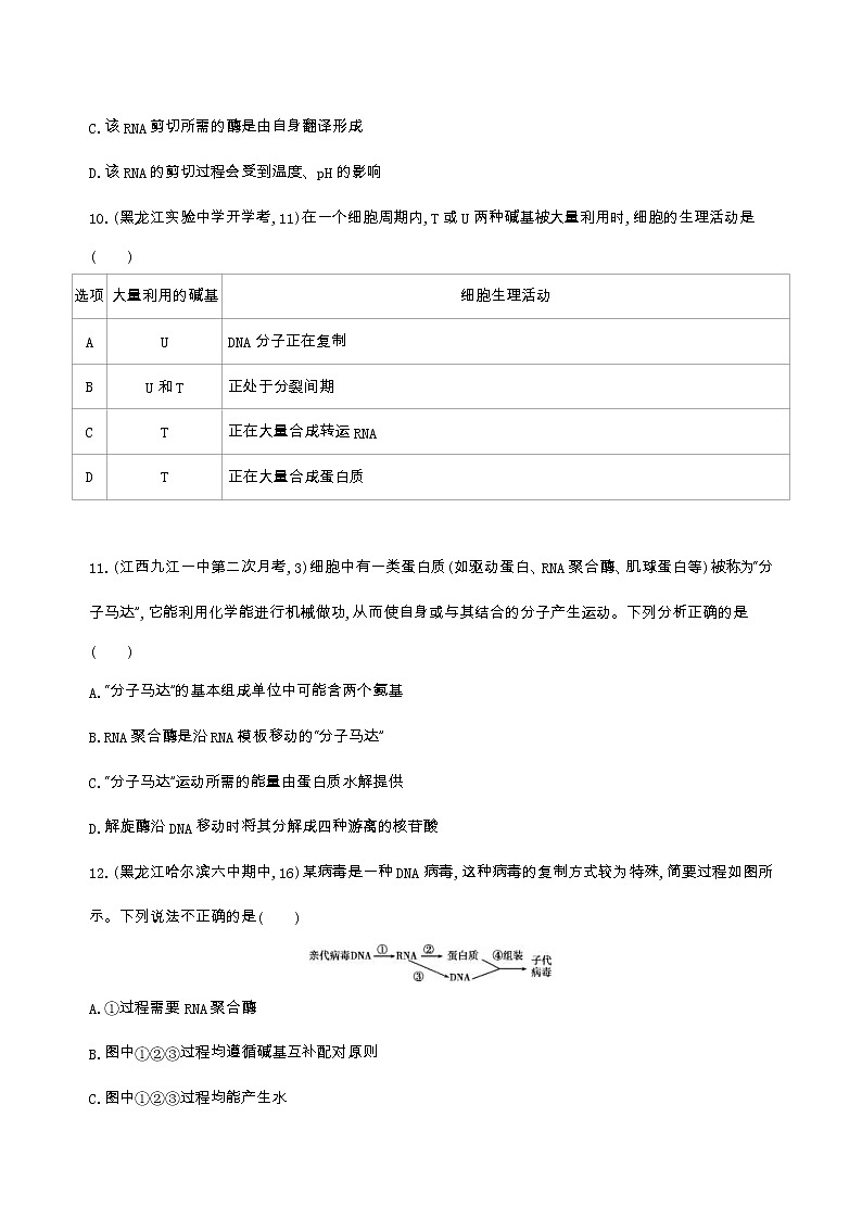 高考生物三轮复习精练9　注重过程、强化联系,应对遗传分子基础问题（含答案）03