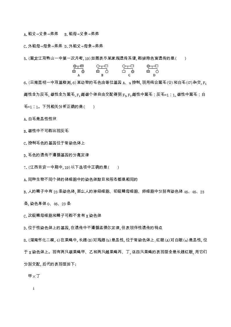 高考生物三轮复习精练11　抓住特征、综合提升,理顺伴性遗传与遗传病问题（含答案）第2页