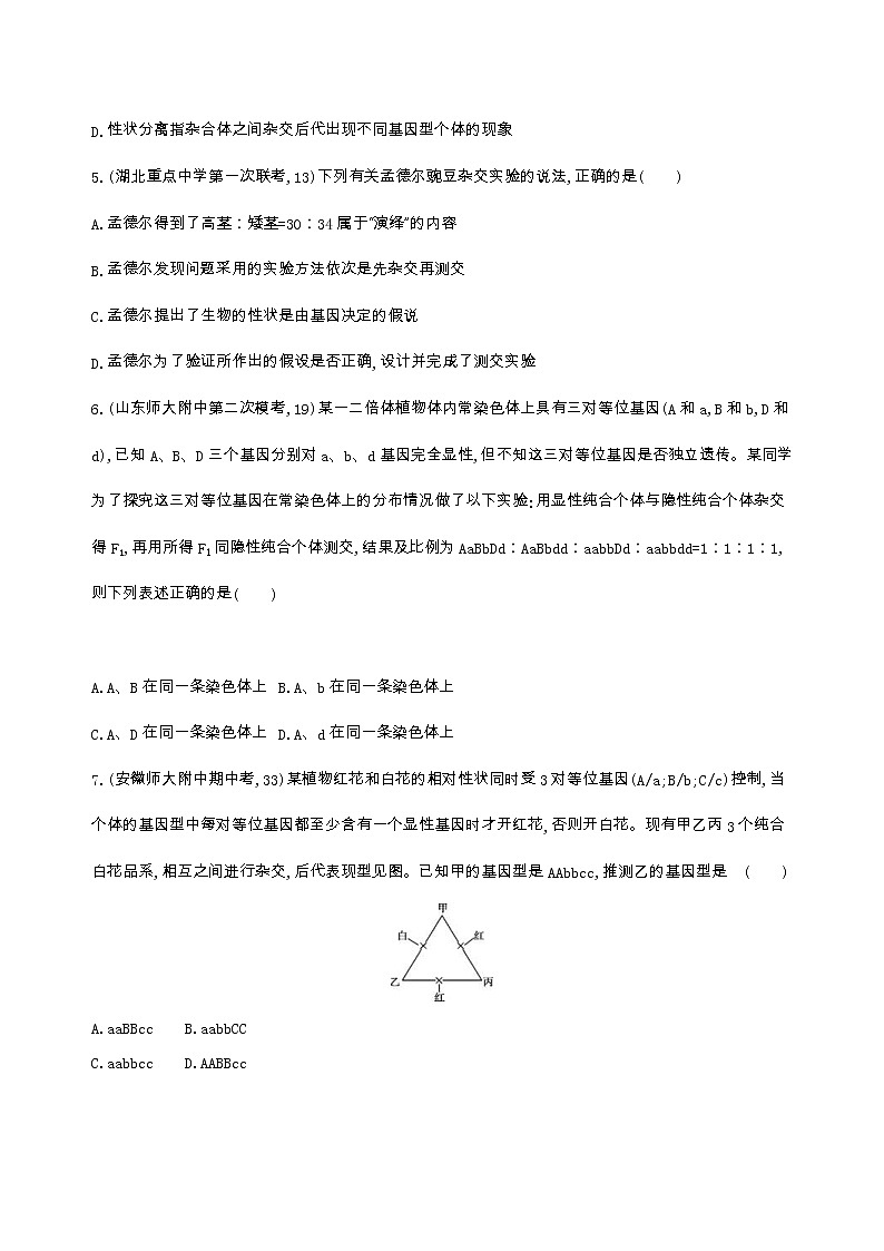 高考生物三轮复习精练10　理解规律、把握本质,诠释遗传基本规律问题（含答案）第2页