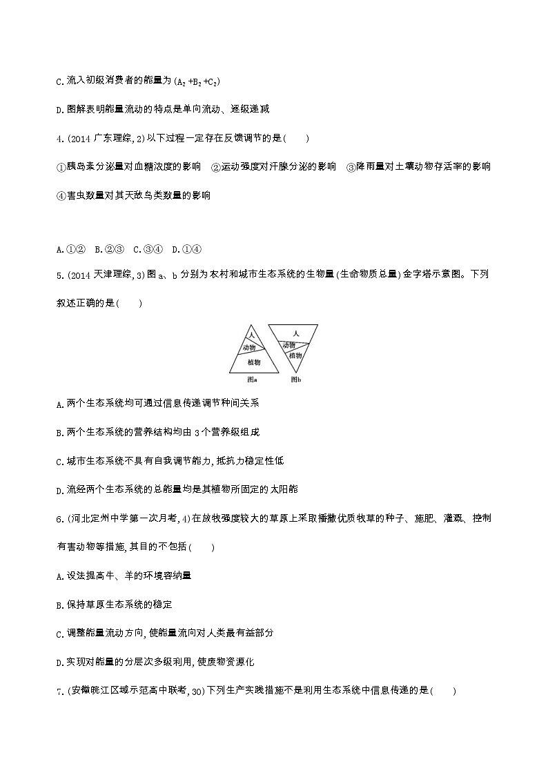 高考生物三轮复习精练19　注重联系、把握规律,解决生态系统问题（含答案）第2页