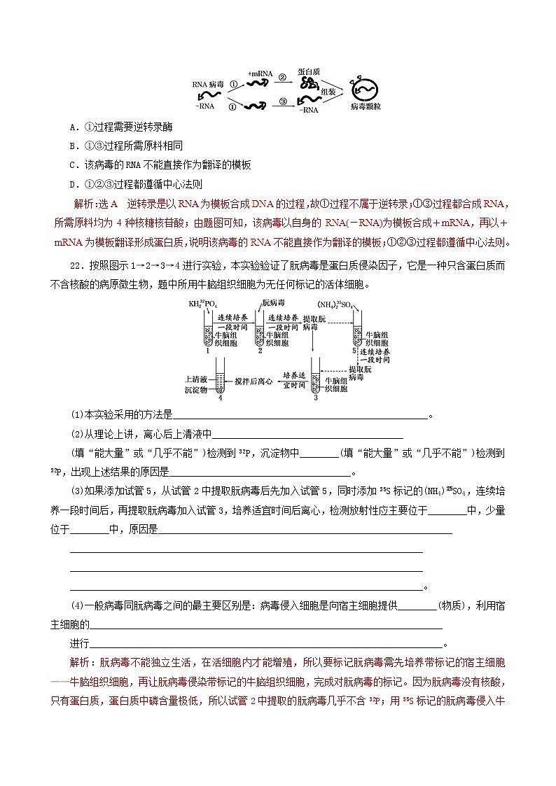 高考生物考纲解读与热点难点突破专题06《遗传的分子基础》（含详解）第3页