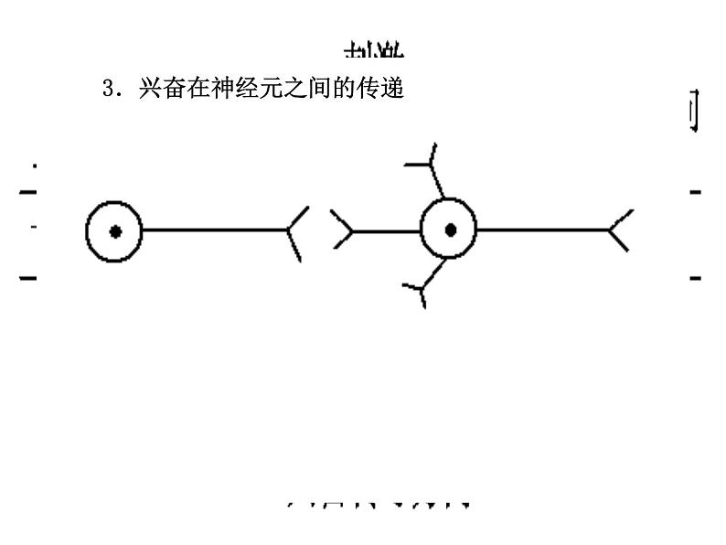 高考生物三轮考前重点突破：专题二动物和人体生命活动的调节（含答案）课件PPT第6页