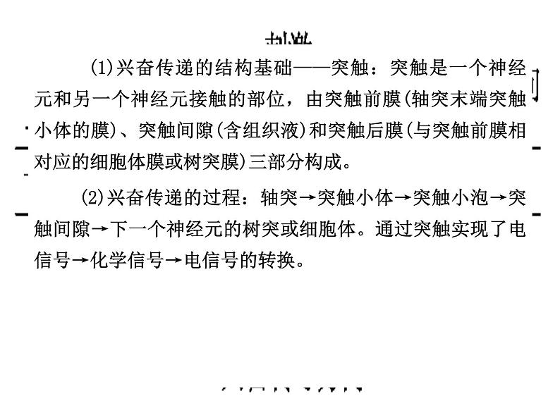 高考生物三轮考前重点突破：专题二动物和人体生命活动的调节（含答案）课件PPT第7页