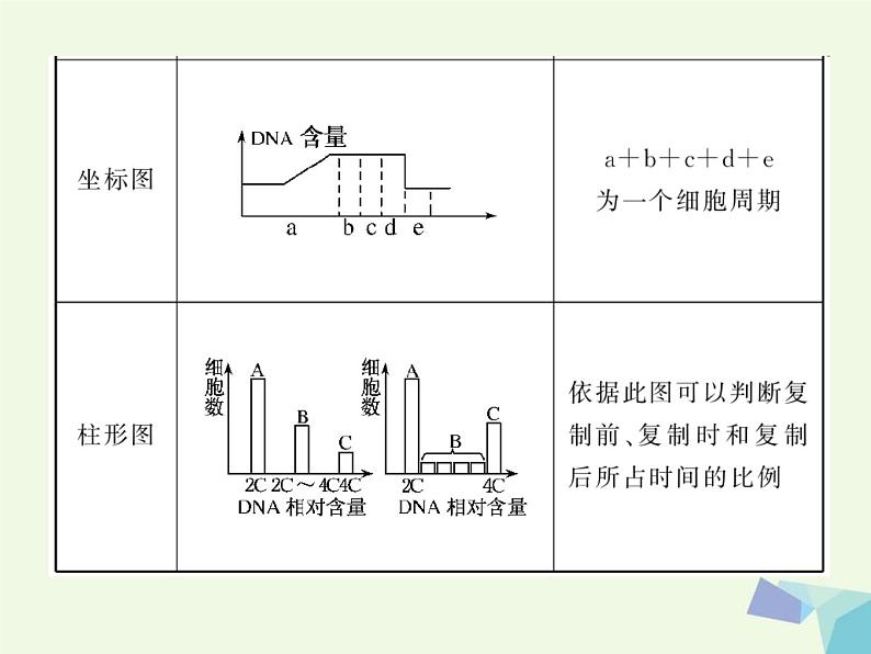 高考生物三轮考前重点突破：专题二生物的生殖与个体发育（含答案）课件PPT第8页