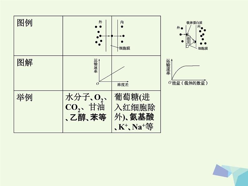 高考生物三轮考前重点突破：专题二细胞的结构与生物膜系统（含答案）课件PPT第7页