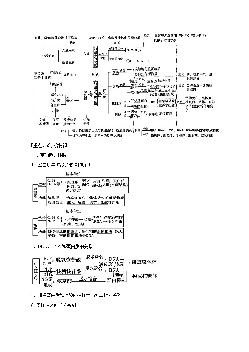 高考生物提分秘籍：专题01《细胞的分子组成》教学案（含答案）教案第2页