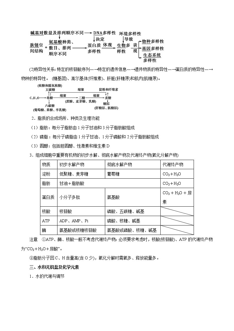 高考生物提分秘籍：专题01《细胞的分子组成》教学案（含答案）教案第3页