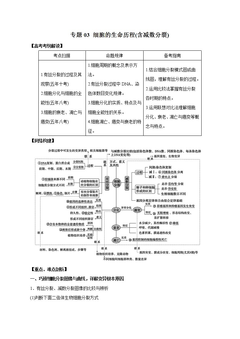 高考生物提分秘籍：专题03《细胞的生命历程（含减数分裂）》教学案（含答案）教案第1页