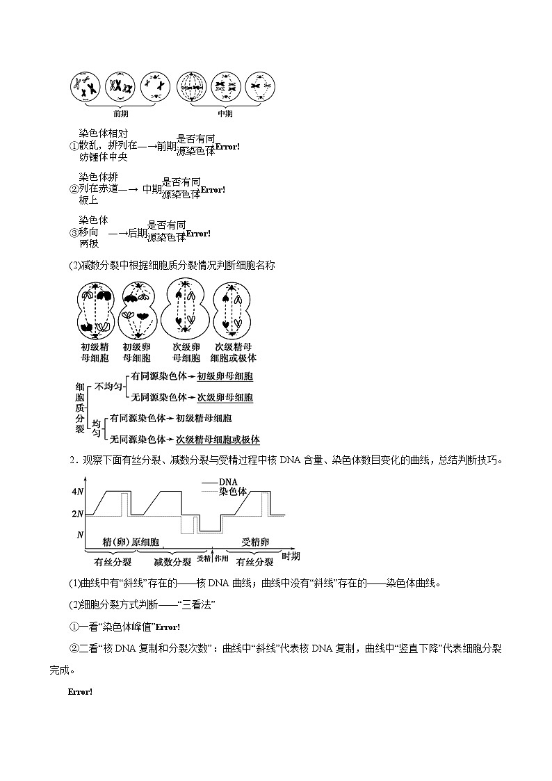 高考生物提分秘籍：专题03《细胞的生命历程（含减数分裂）》教学案（含答案）教案第2页