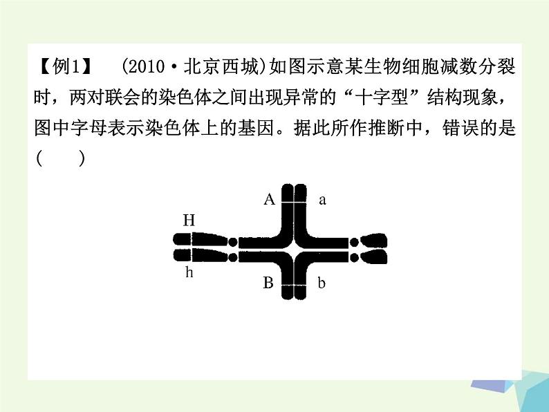 高考生物三轮考前重点突破：专题四生物的变异与进化（含答案）课件PPT08