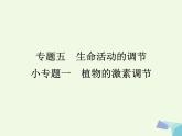 高考生物三轮考前重点突破：专题一细胞的增殖（含答案）课件PPT