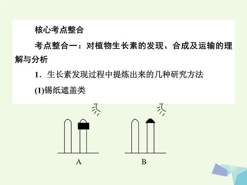 高考生物三轮考前重点突破：专题一细胞的增殖（含答案）课件PPT第2页