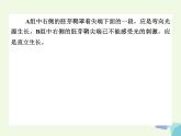 高考生物三轮考前重点突破：专题一细胞的增殖（含答案）课件PPT