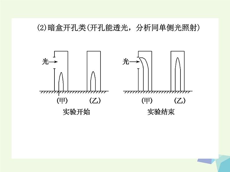 高考生物三轮考前重点突破：专题一细胞的增殖（含答案）课件PPT第4页