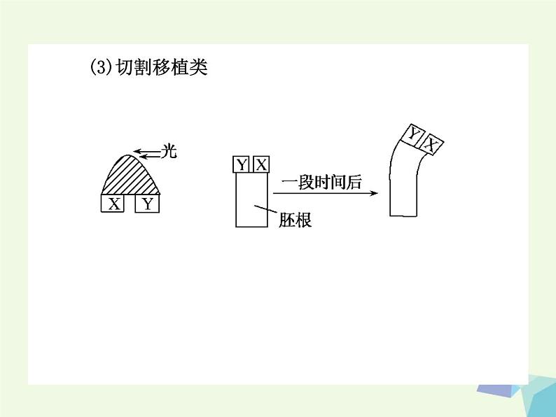 高考生物三轮考前重点突破：专题一细胞的增殖（含答案）课件PPT第5页