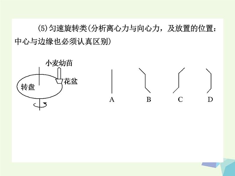 高考生物三轮考前重点突破：专题一细胞的增殖（含答案）课件PPT第8页