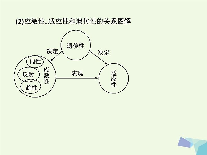 高考生物三轮考前重点突破：专题一绪论与生命的物质基次件 (NXPowerLite)课件PPT第6页