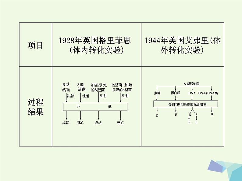 高考生物三轮考前重点突破：专题一遗传的分子基次件 (NXPowerLite)课件PPT第3页