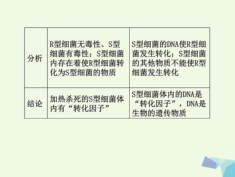 高考生物三轮考前重点突破：专题一遗传的分子基次件 (NXPowerLite)课件PPT第4页