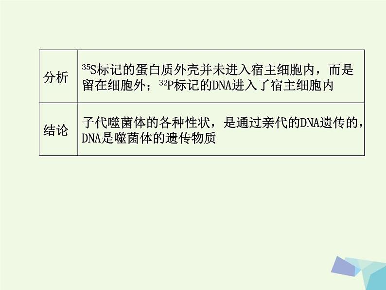 高考生物三轮考前重点突破：专题一遗传的分子基次件 (NXPowerLite)课件PPT第6页