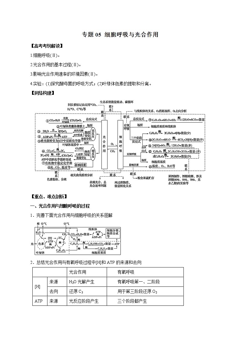 高考生物提分秘籍：专题05《细胞呼吸与光合作用》教学案（含答案）教案第1页