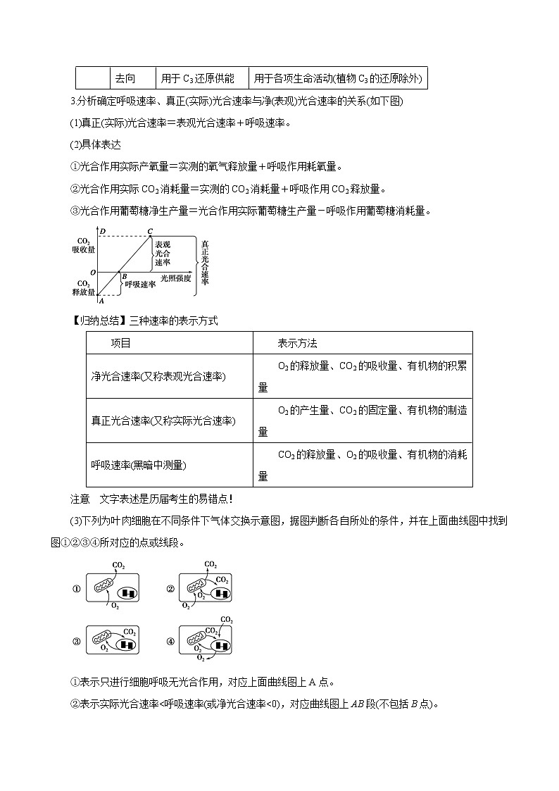 高考生物提分秘籍：专题05《细胞呼吸与光合作用》教学案（含答案）教案第2页