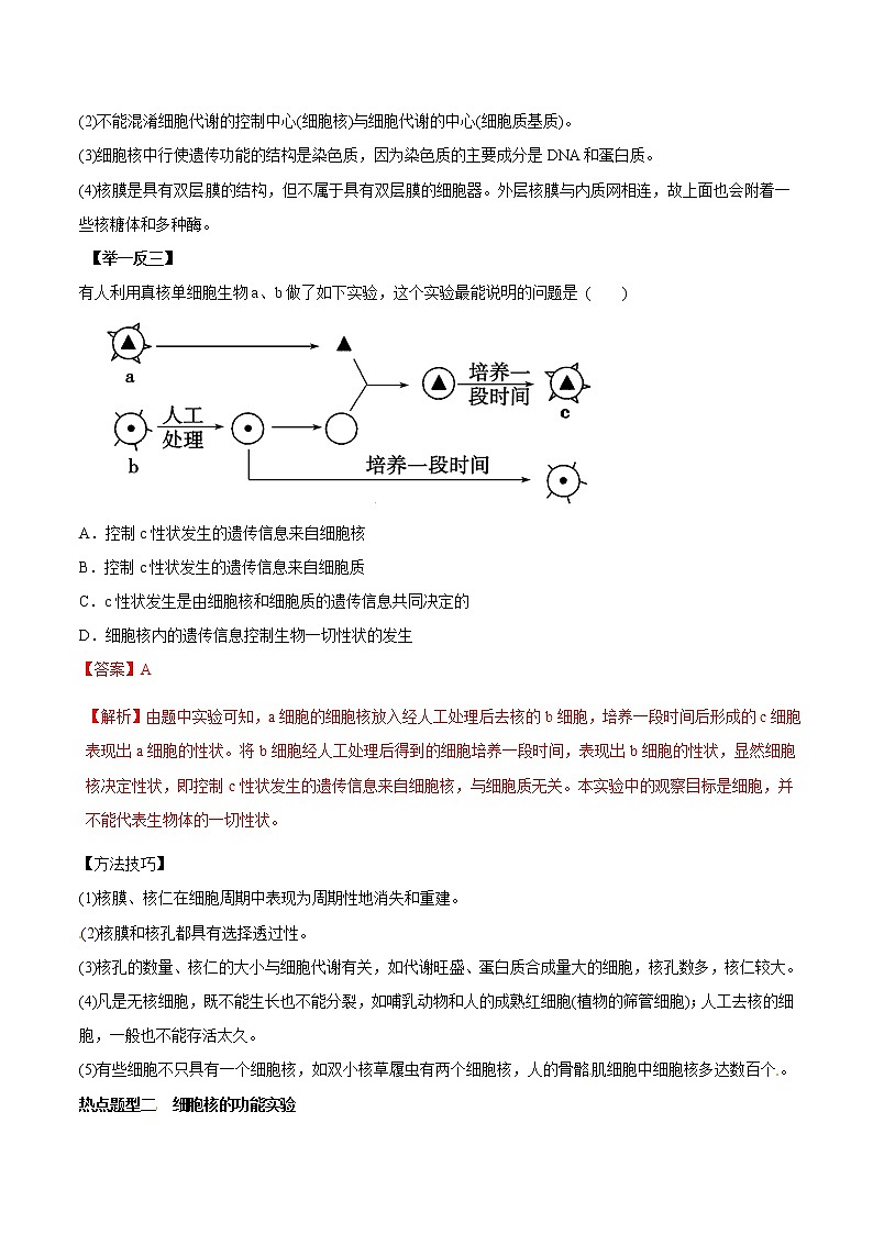 高考生物提分秘籍：专题07《细胞核—系统的控制中心》教学案（含答案）教案02