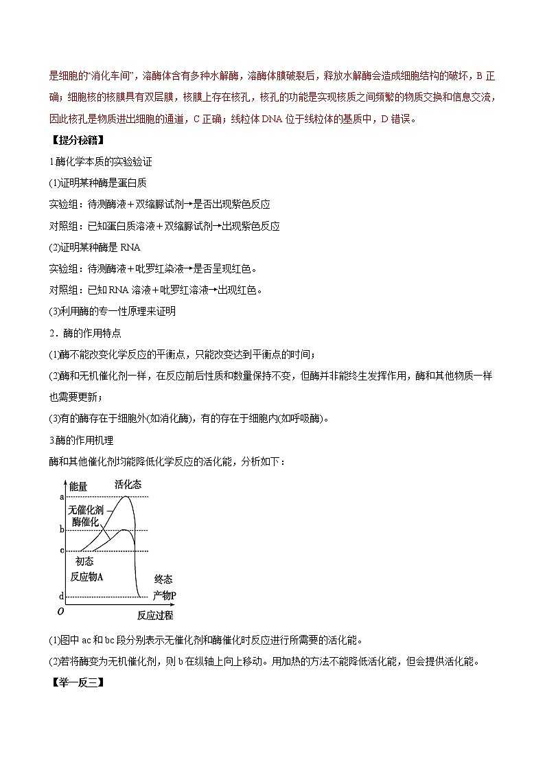 高考生物提分秘籍：专题09《降低化学反应活化能的酶》教学案（含答案）教案02