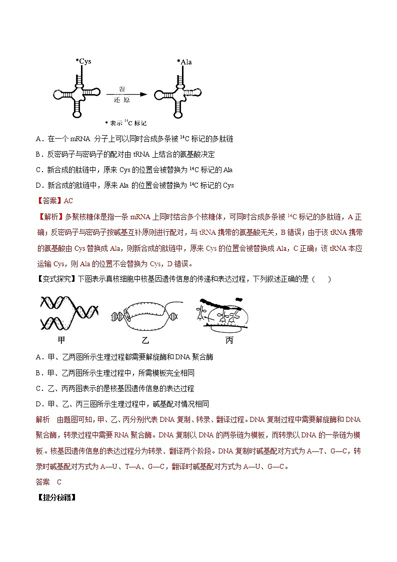 高考生物提分秘籍：专题20《基因的表达》教学案（含答案）教案第2页