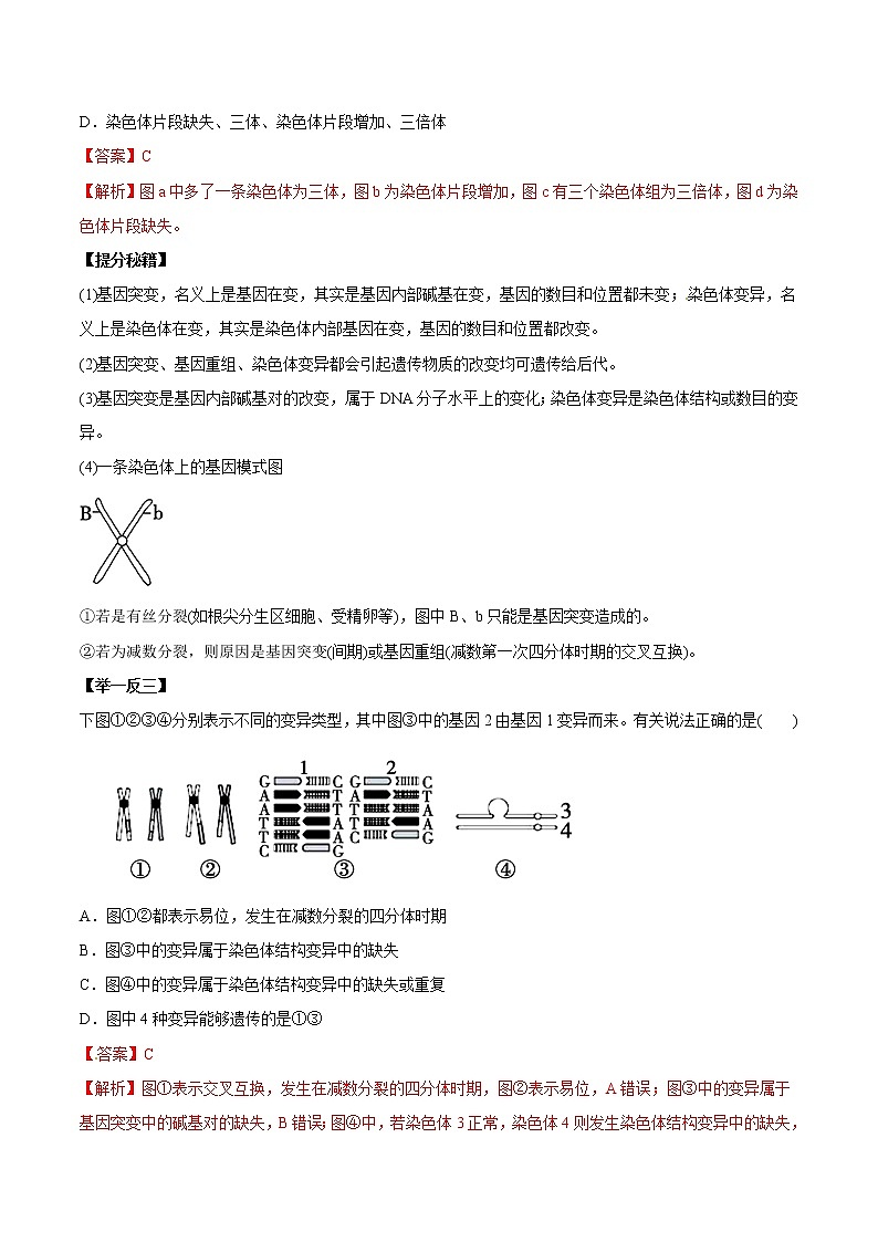 高考生物提分秘籍：专题22《染色体变异》教学案（含答案）教案第2页
