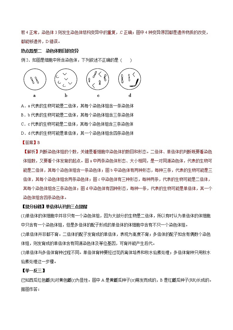 高考生物提分秘籍：专题22《染色体变异》教学案（含答案）教案第3页