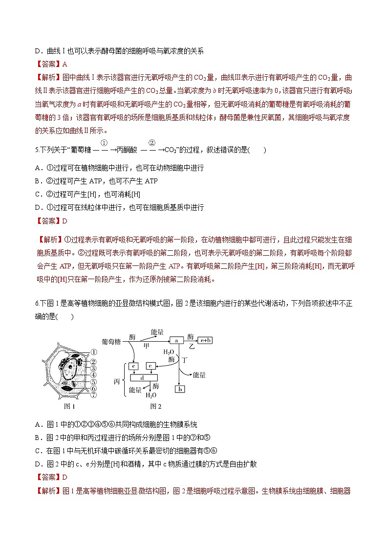 高考生物提分秘籍：专题10《细胞的能量“通货”—ATP-ATP的主要来源—细胞呼吸》热点难点突破（含答案）第3页