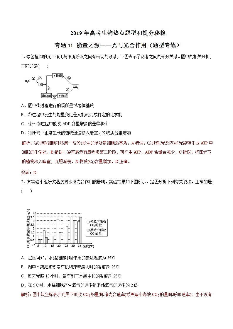 高考生物提分秘籍：专题11《能量之源——光与光合作用》热点难点突破（含答案）01