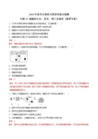 高考生物提分秘籍：专题13《细胞的分化、衰老、凋亡及癌变》热点难点突破（含答案）