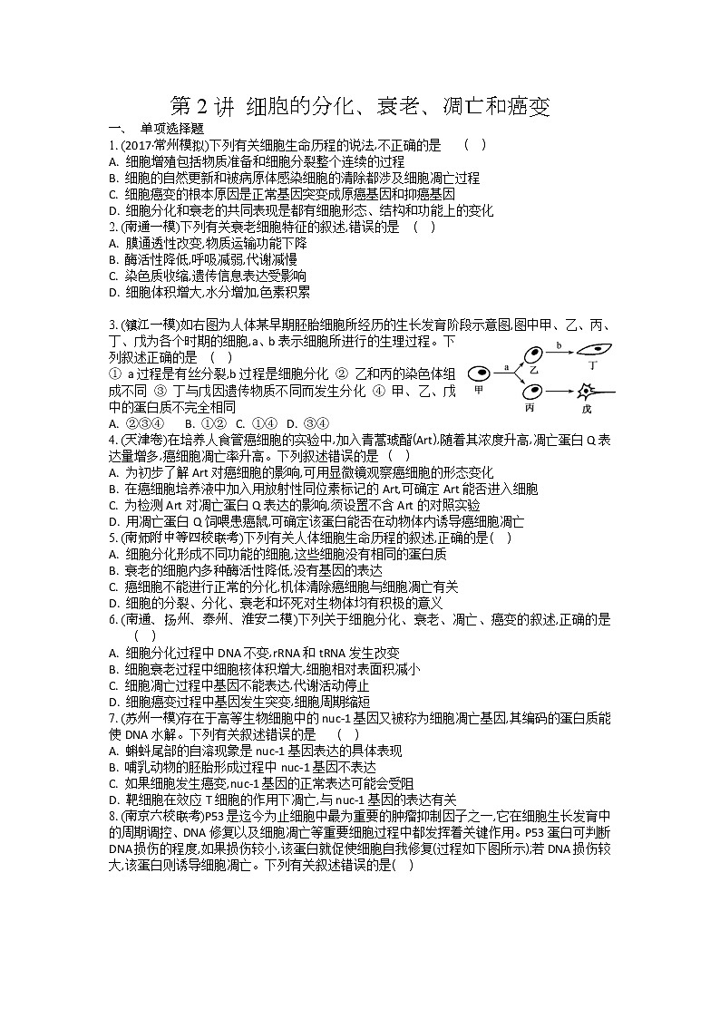 高考生物一轮复习作业本：第4单元第2讲《细胞的分化、衰老、凋亡和癌变》（含详解） 练习01